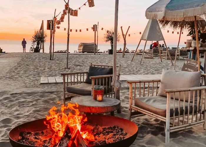 Hollandsche Tulp By Interhome נורדוויקרהוט