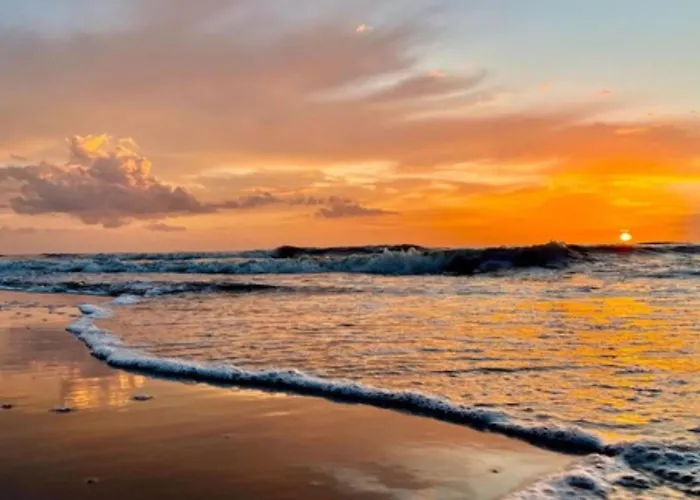 Casa de Férias Hollandsche Tulp By Interhome Noordwijkerhout