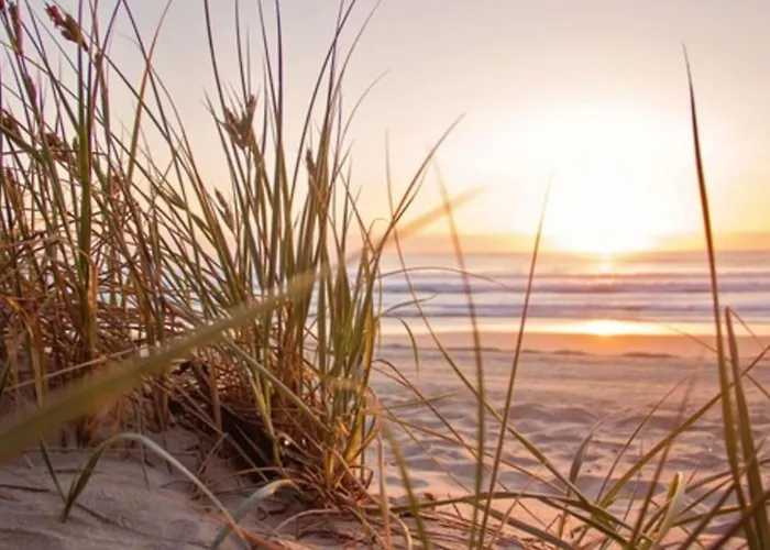 Hollandsche Tulp By Interhome בית נופש