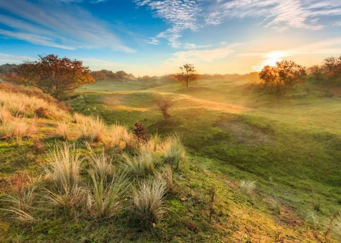 Hollandsche Tulp By Interhome נורדוויקרהוט