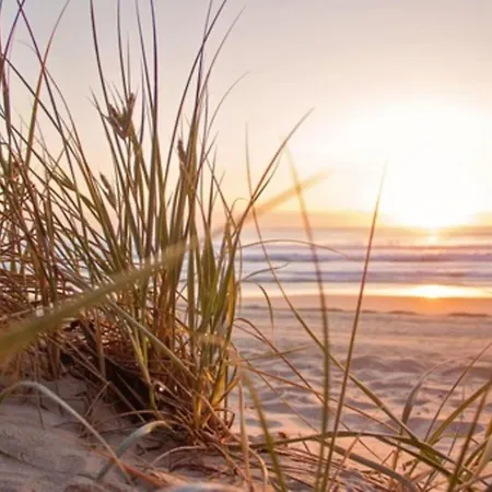 Hollandsche Tulp By Interhome بيت للعطل