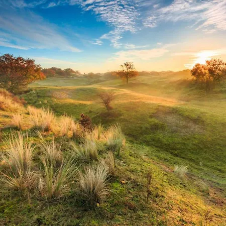 Hollandsche Tulp By Interhome نوردفايكرهاوْت